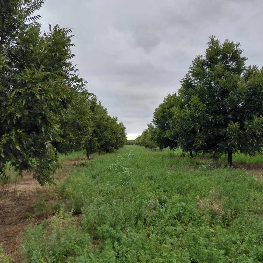 Commercial Property for Sale in Hartswater Rural Northern Cape